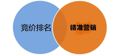 精準(zhǔn)洞察，破局制勝——如何系統(tǒng)研究競爭對(duì)手的推廣與銷售策略
