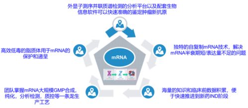 創(chuàng)新競爭2.0 國內頭部藥企如何借力計算機網絡科技重塑研發(fā)格局